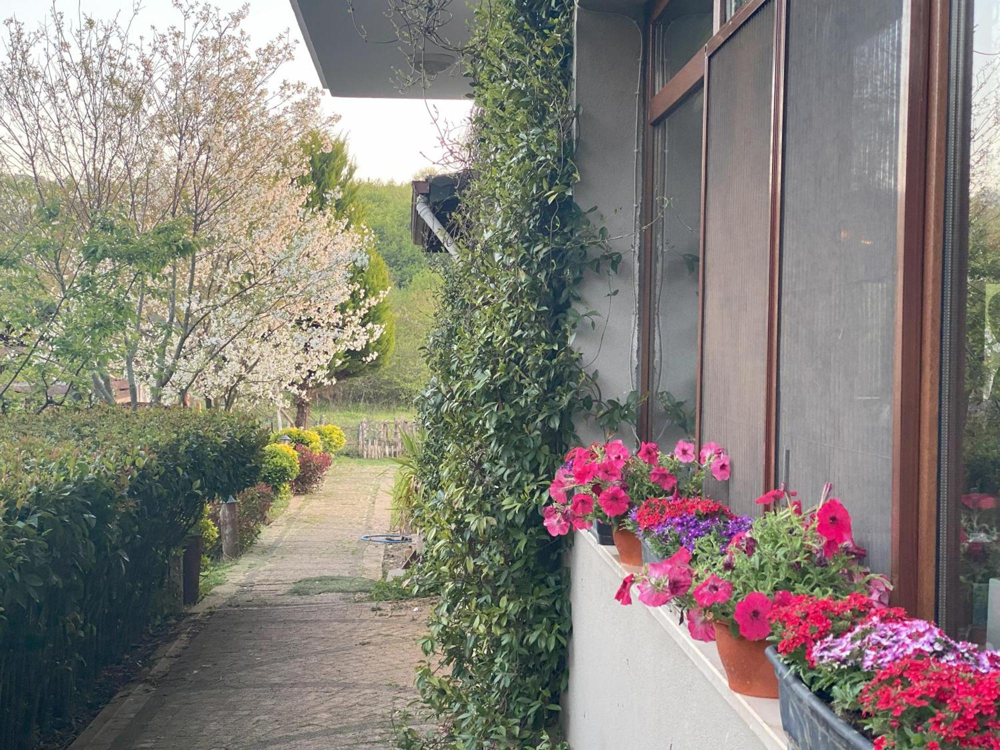 Kerpe Diem Otel Εξωτερικό φωτογραφία