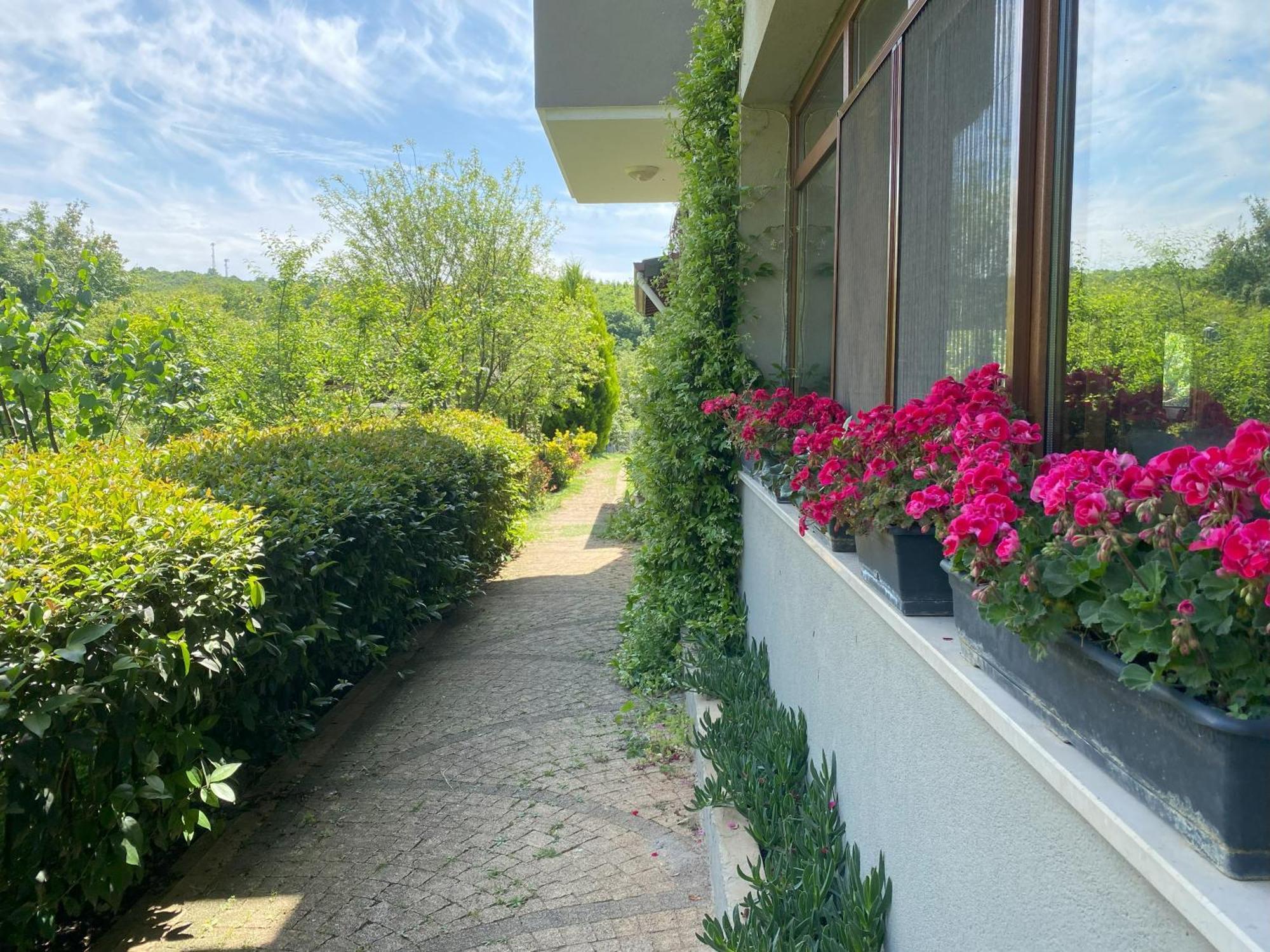 Kerpe Diem Otel Εξωτερικό φωτογραφία